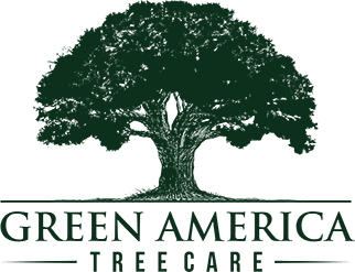 Green America Tree Care